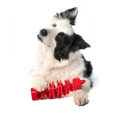 Bama Köpek Oyuncağı thumbnail 3