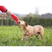 Bama Köpek Oyuncağı thumbnail 2