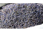 Lavanta 30 Gr, Lokman Aktar thumbnail 2