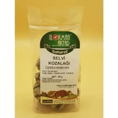 Selvi Kozalağı 60 Gr (Paket-Bitki) 1Adet thumbnail 2