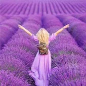 Rebul Lavanda 100 ml Sprey Kolonya thumbnail 2