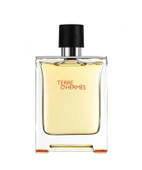 Hermes Terre D'Hermes EDT 100 ml Erkek Parfüm thumbnail 1