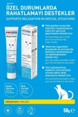 KIKI Excellent Kedi Relax Paste Macun 50 Gr thumbnail 2