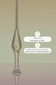 Fitomer Okaliptus Yağı 10ML thumbnail 3