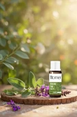 Fitomer Adaçayı Yağı 10ML thumbnail 2