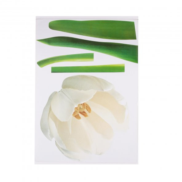XFG002 DUVAR SÜSÜ ÇİÇEKLİ ŞEFFAF FİLMLİ PVC 70X50X0''5CM ürün görseli 1