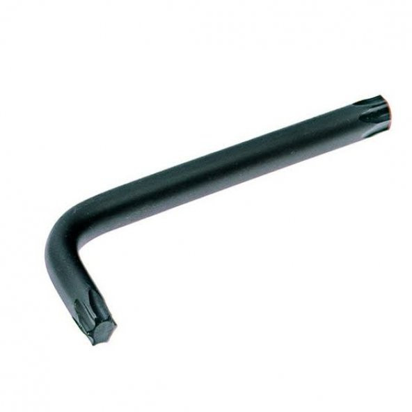 T 40 TORX ALLEN ürün görseli 1