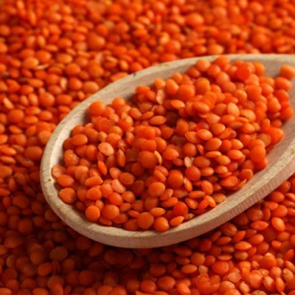 mercimek 25 kg lık çuval kırmızı mercimek ürün görseli 1