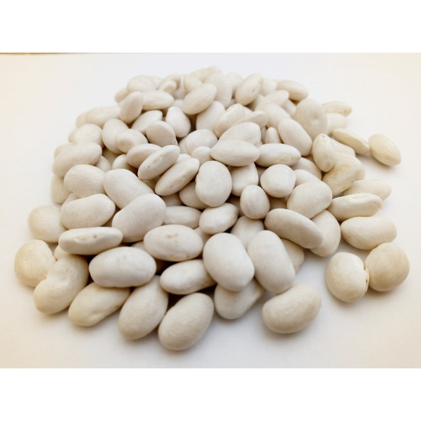 Lüks Dermason Kuru Fasulye-(5 KG) ürün görseli 1
