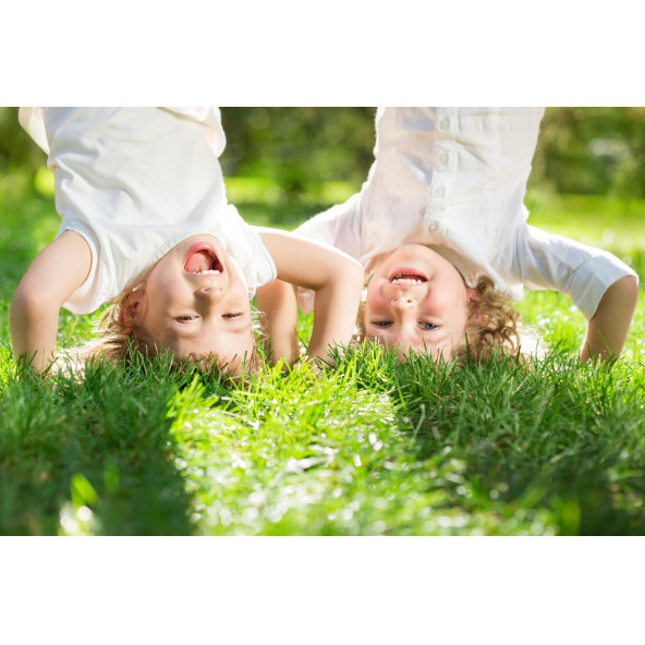 Lawn&Art General Mix Konut ve Park Alanları için Çim Tohumu Karışımı 1 kg ürün görseli 1