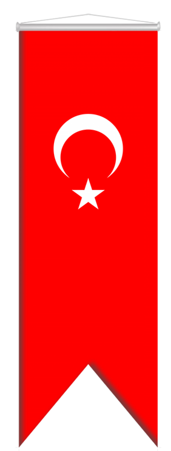 Türk Bayrağı Kırlangıç ürün görseli 1