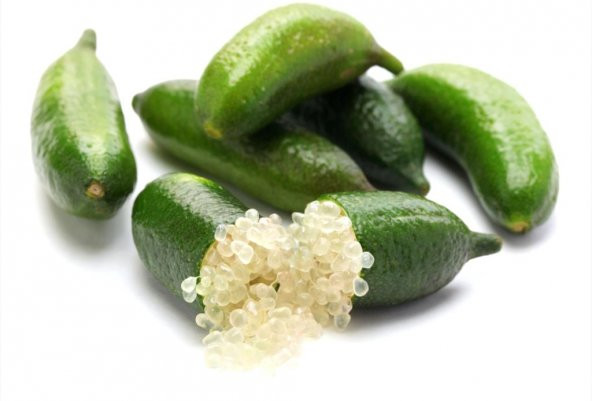 Nadir İthal Parmak Limon Tohumu 3 Tohum + Süpriz Bonzai Tohumu ürün görseli 1