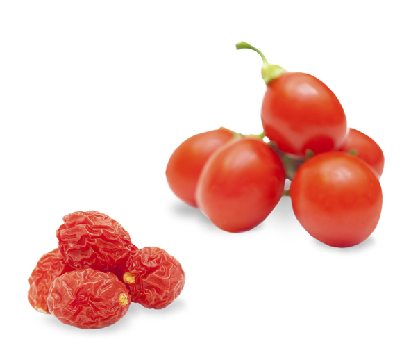 Eko Paket 75 Tohum İthal Goji Gojiberry Goji Berry Tohumu + Süpr ürün görseli 1