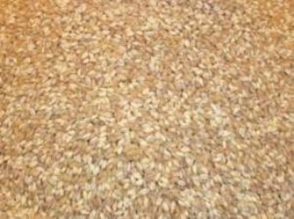 DÖĞME 5KG ürün görseli 1