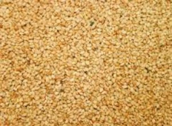 SUSAM 250GR ürün görseli 1