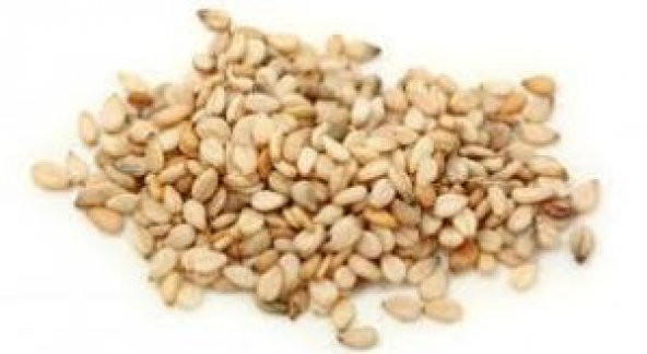 SUSAM 250GR - Resim 2