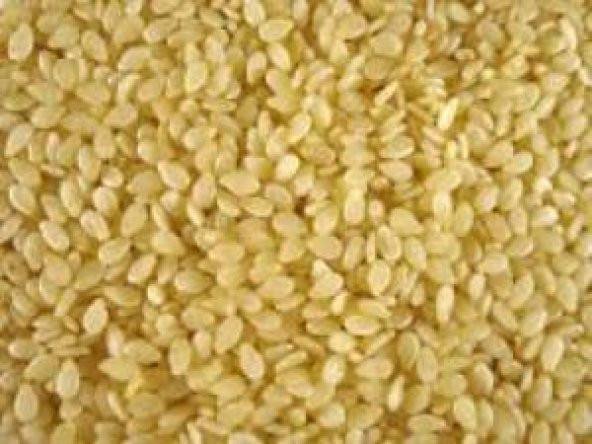 SUSAM 250GR - Resim 3