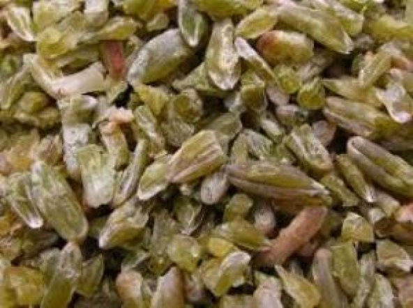 FİRİK 5KG ürün görseli 1
