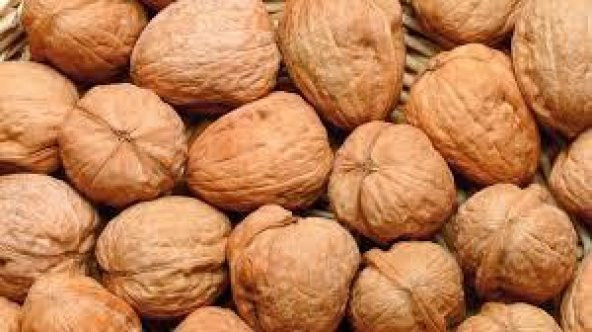 CEVİZ KABUKLU 1 KG ürün görseli 1