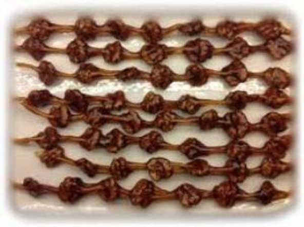 CEVİZLİ SUCUK 1KG - Resim 3