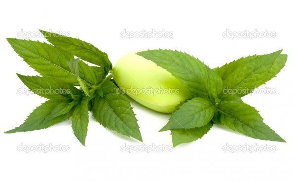 NANELİ SABUN 1KG ürün görseli 1