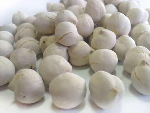 LEBLEBİ BEYAZ 1KG ürün görseli 1