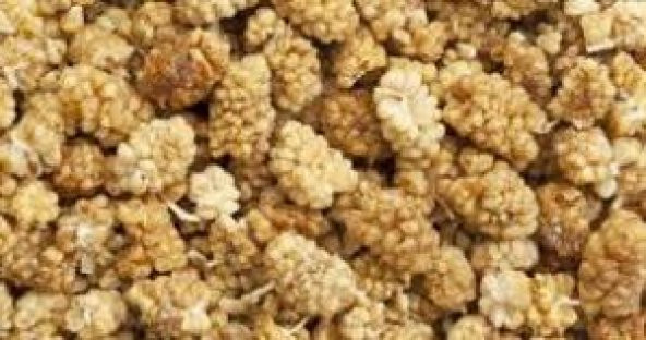DUT KURUSU 1KG ürün görseli 1