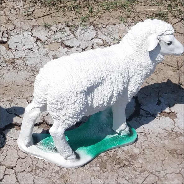Koyun Kuzu İç ve Dış mekan 50cm Bahçe Oda Çimenlik Köşe Heykeli ürün görseli 1