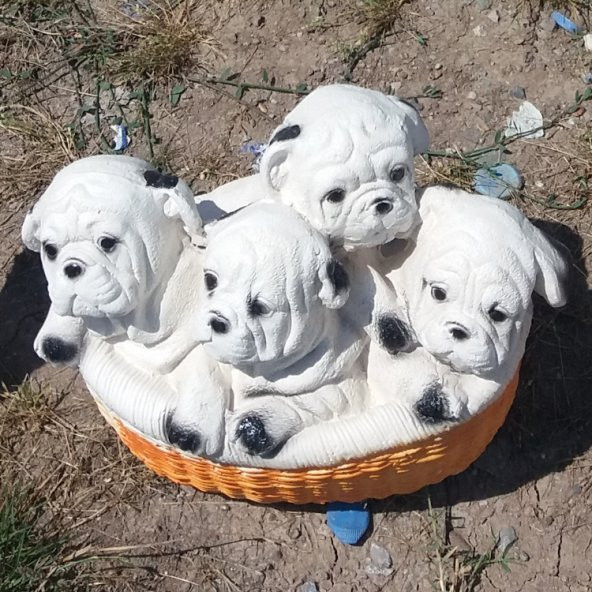4 Dört Köpek Yavrusu İç Dış mekan 40cm Bahçe Köşe Ev Heykeli ürün görseli 1