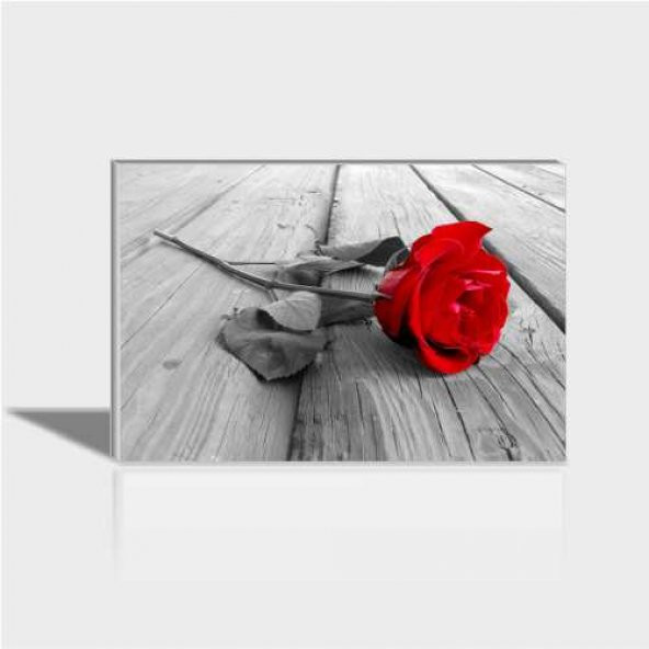 60x90 cm Rose Kırmızı Gül Canvas Tablo ürün görseli 1