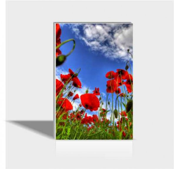 60x90 cm Gelincikler Canvas Tablo ürün görseli 1