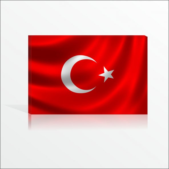 Dershane Devlet Dairesi Kurumlar İçin Türk Bayrağı Kanvas Tablo ürün görseli 1