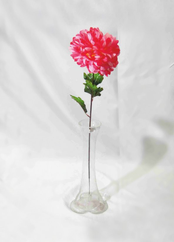 Pembe Ortanca 40 cm Cam Vazo ürün görseli 1