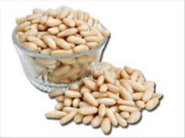 ÇAM FISTIĞI 250 GR ürün görseli 1