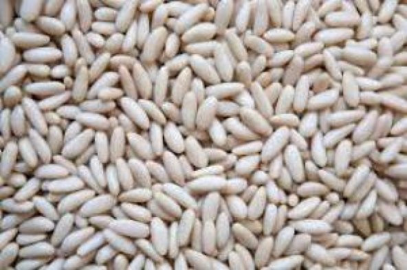 ÇAM FISTIĞI 250 GR - Resim 3