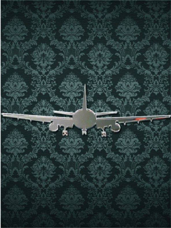 M3 Decorium AirBus Dekoratif Ayna ürün görseli 1
