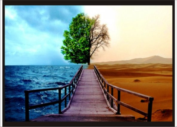 70x100cm İki Mevsim Bir Çöl ve Deniz Manzaralı Poster Tablo Pano ürün görseli 1