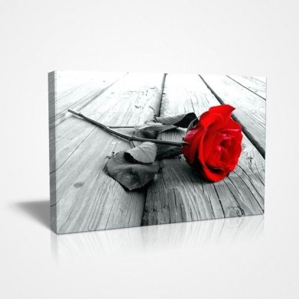 Kırmızı Gül Canvas Tablo ürün görseli 1