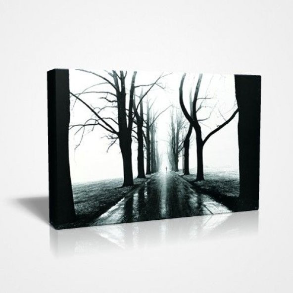 Ahşap Karkas Üzerine 45x30 cm Ağaçlı Yol Canvas Kumaş Tablo ürün görseli 1