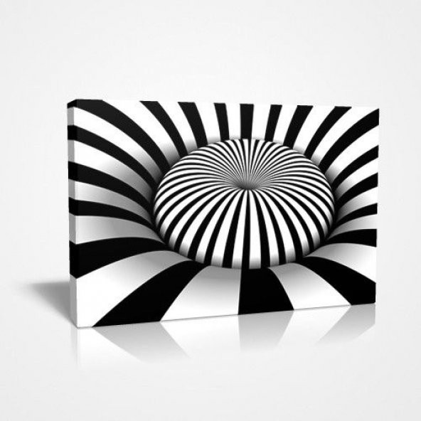 30x45cm Zebra Desen Ağır Sağlam Net Görsel Baskılı Canvas Tablo ürün görseli 1