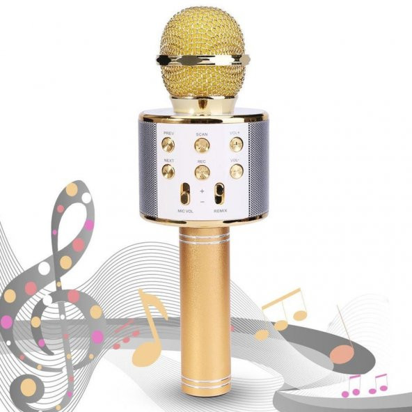 Sihirli Karaoke Mikrofon Bluetooth Sd Card Mikrofonu - Resim 6