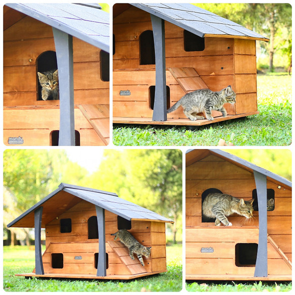 Mandu Ahşap Lüks Kedi Evi - Resim 6