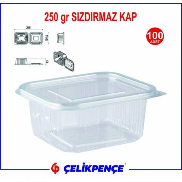 250 gr. Plastik Sızdırmaz Kap 100 Adet - Resim 2