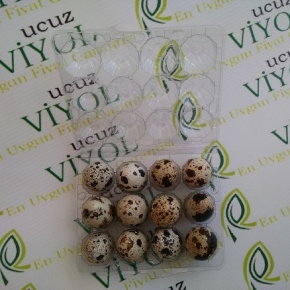 BILDIRCIN YUMURTA VİYOLU 1500 ADET - Resim 7