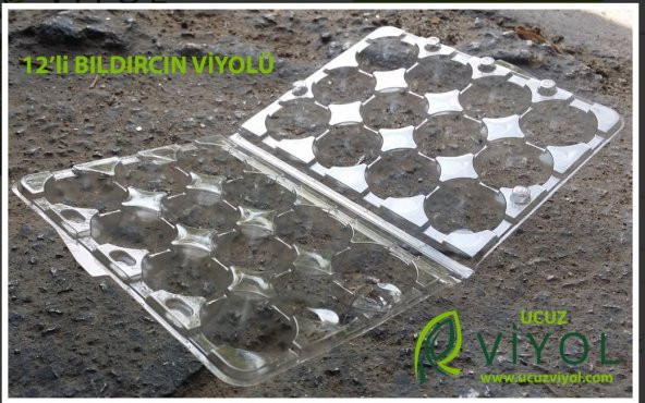 BILDIRCIN YUMURTA VİYOLU 1500 ADET - Resim 6
