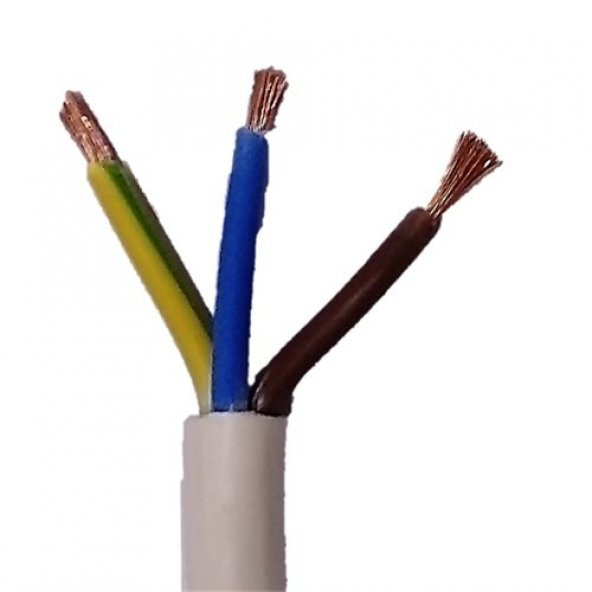 Bakır Kablo Seyyar Kablosu 10 Metre Ttr Kablo 3X1.5 mm (Bakır) ürün görseli 1