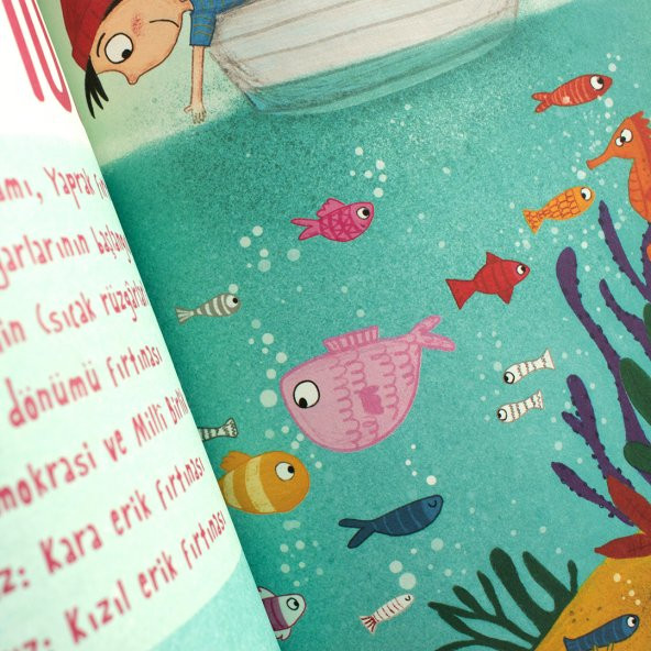 Meraklı Defter - Resim 5