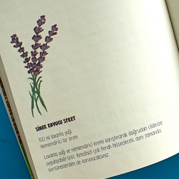 Meraklı Defter - Resim 8