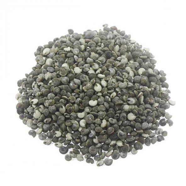 1kg Umbinium Doğal Deniz Kabuğu ürün görseli 1