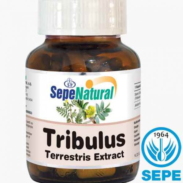 Tribulus Extract 90 Kapsül 480 mg Demir Dikeni Ekstrakt Ekstre ürün görseli 1